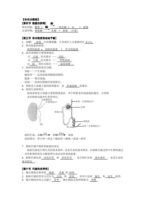 九年级科学上第四章能量与代谢