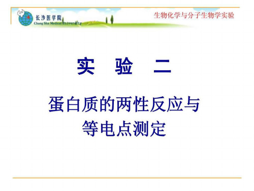 实验二.蛋白质的两性反应与等电点测定