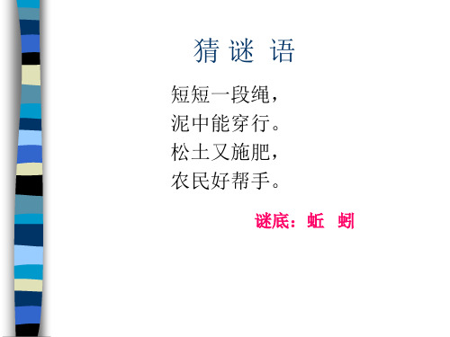 4.《蚯蚓》课件