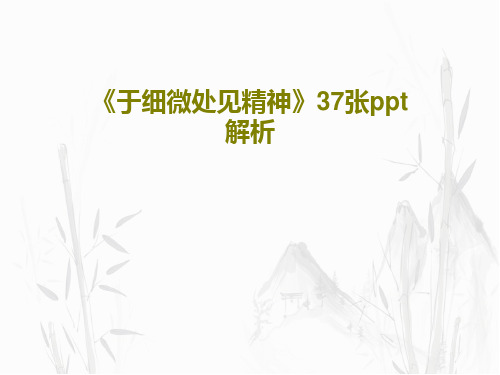 《于细微处见精神》37张ppt解析39页PPT