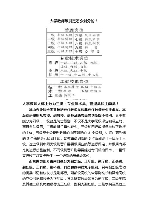 大学教师级别是怎么划分的？