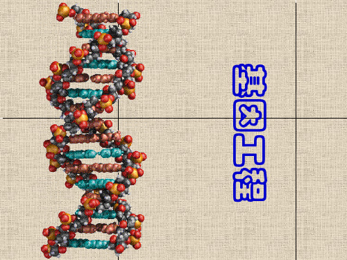 第一章基因工程概述-PowerPointPresent
