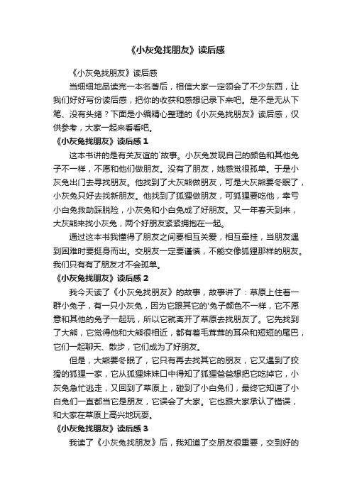 《小灰兔找朋友》读后感