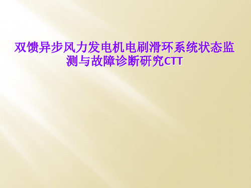 双馈异步风力发电机电刷滑环系统状态监测与故障诊断研究CTT