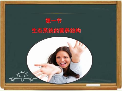 浙科版高中生物必修三《生态系统的营养结构》教学课件-新版