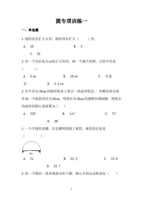 小学数学五六年级圆专项训练习题含答案