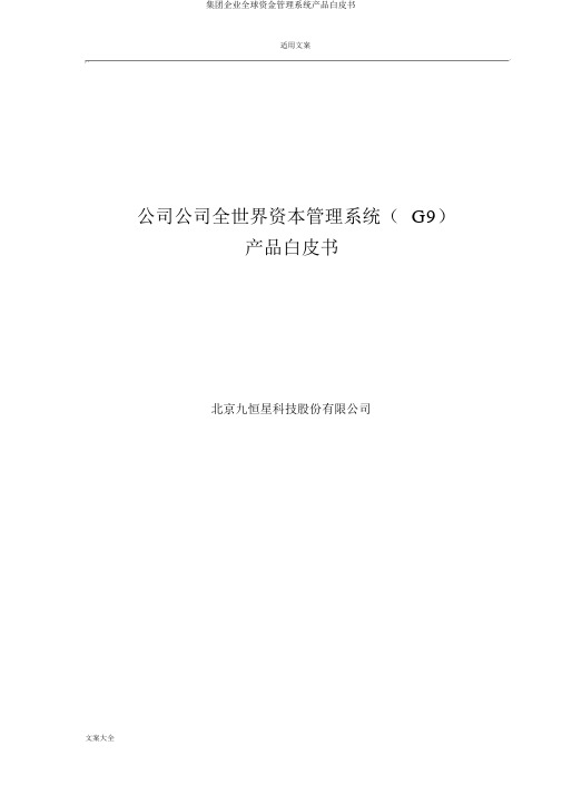 集团企业全球资金管理系统产品白皮书