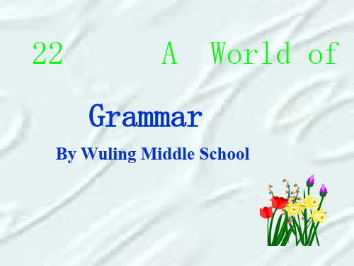 Unit22 A World of Fun grammar PPT课件