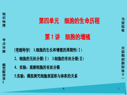 (通用版)2017版高考生物一轮复习 第4单元 细胞的生命历程 第1讲 细胞的增殖课件