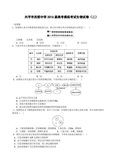 陕西省兴平市西郊高级中学2016届高考模拟考试生物试卷(二)