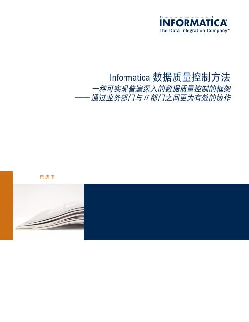 Informatica数据质量控制方法