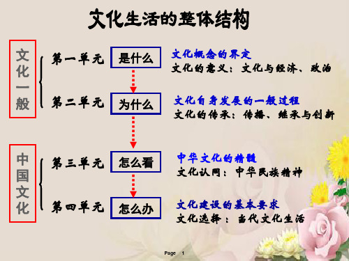 人教版高中政治必修三：1.1体味文化(共27张PPT)