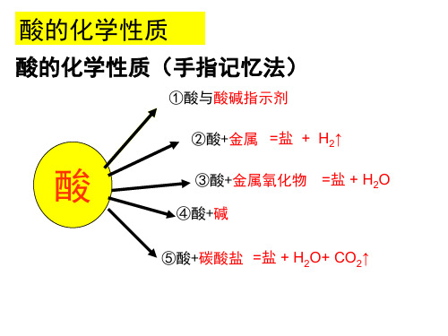 几种常见的碱   碱的化学性质