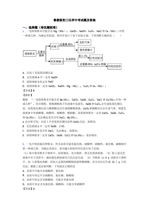 鲁教版初三化学中考试题及答案