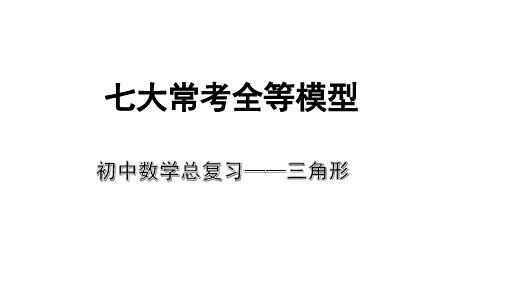 初中考数学专题总复习《三角形》七大常考全等模型 