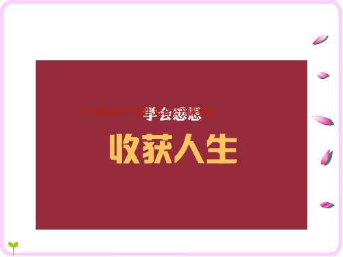 部编五年级上数学《三角形的面积》陈钰PPT课件 一等奖新名师优质课获奖比赛公开西南师大