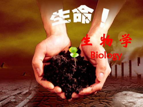 生物学法指导