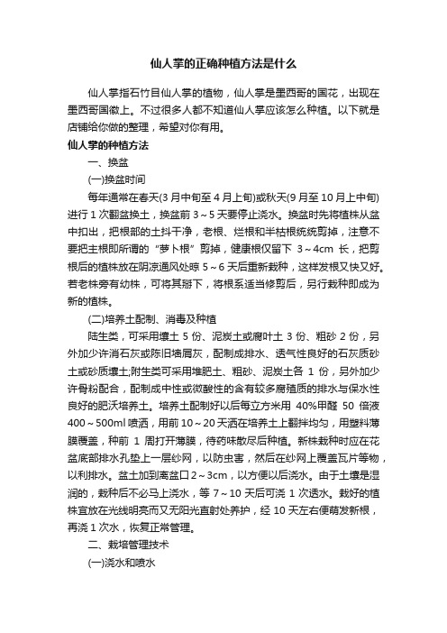 仙人掌的正确种植方法是什么