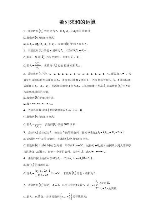 2024年高考数学计算题型精练系列(新高考通用版)专题07-数列求和