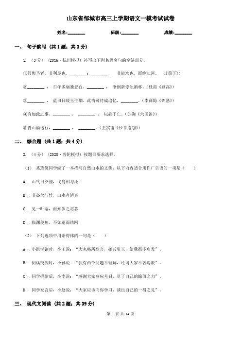 山东省邹城市高三上学期语文一模考试试卷