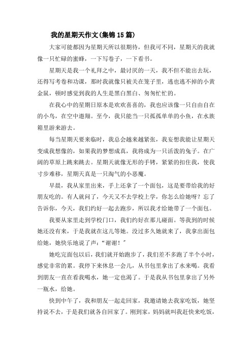 我的星期天作文(集锦15篇)精选