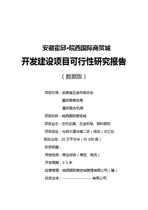 国际商贸城项目可行性研究报告(41页)[管理资料]