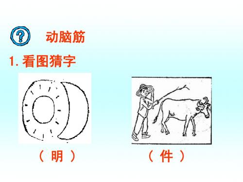 人教版二年级下册语文蜜蜂引路课件