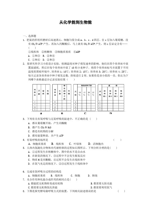 3.2.4从化学能到生物能每课一练24(中图版必修1)