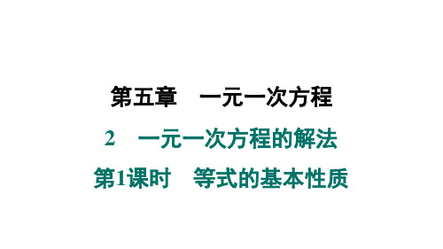 2 一元一次方程的解法 第1课时 等式的基本性质