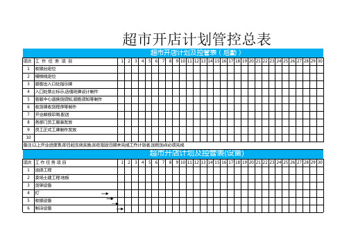 超市开店计划管控总表模板