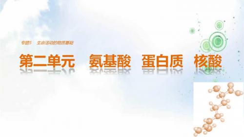 同步备课一体资料化学苏教版选修5课件:专题5 生命活动的物质基础 第二单元氨基酸 蛋白质 核酸(56张)
