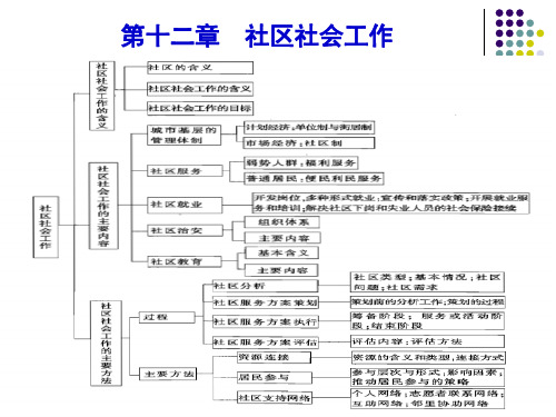 第十二章社区社会工作