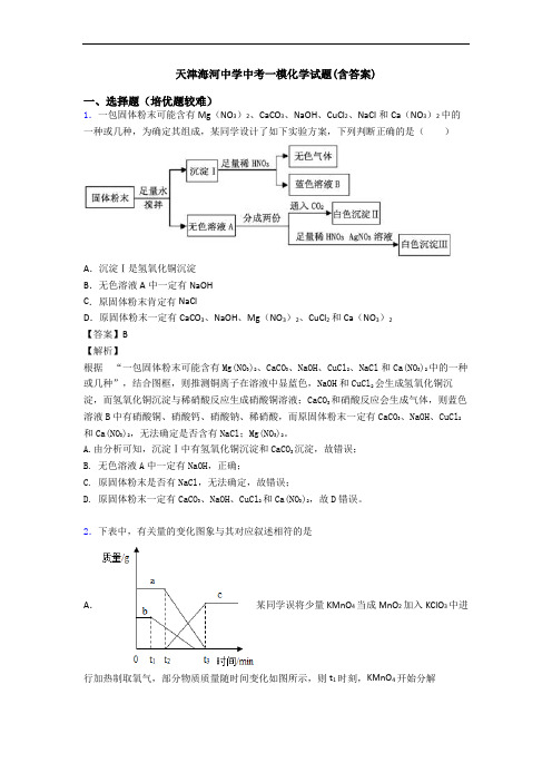 天津海河中学中考一模化学试题(含答案)