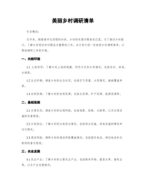 美丽乡村调研清单