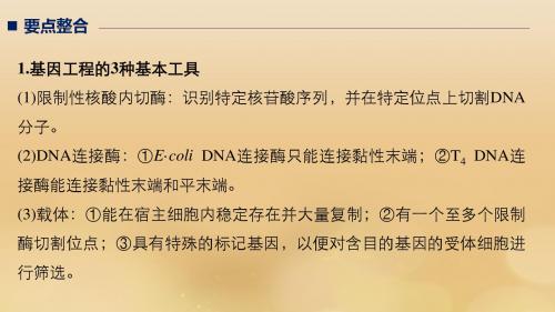 高考生物专题九现代生物科技专题考点1基因工程课件