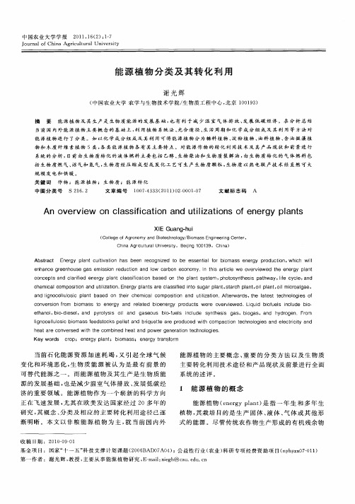 能源植物分类及其转化利用