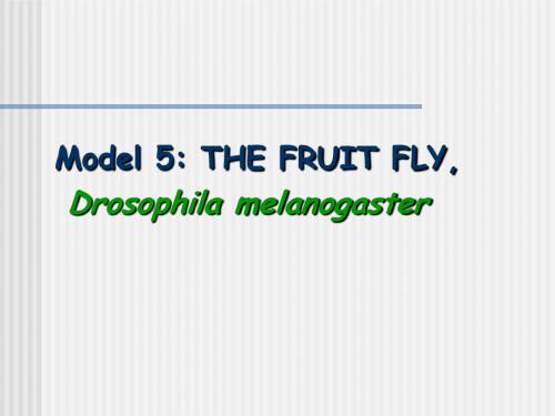 分子生物学-3-chapter 21