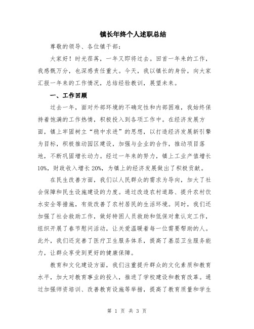 镇长年终个人述职总结