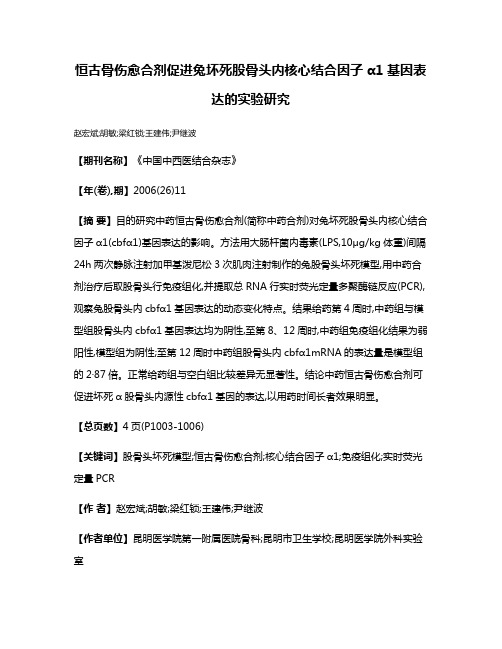 恒古骨伤愈合剂促进兔坏死股骨头内核心结合因子α1基因表达的实验研究