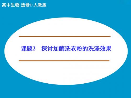 4-2 探讨加酶洗衣粉的洗涤效果