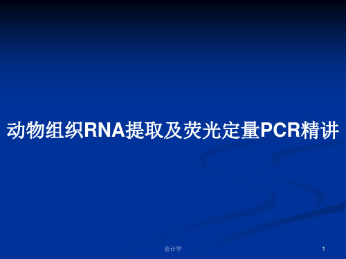 动物组织RNA提取及荧光定量PCR精讲PPT教案