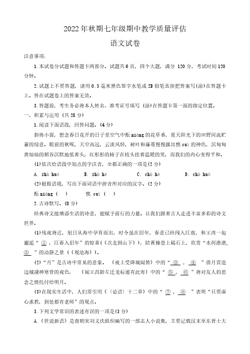 河南省南阳市社旗县2022-2023学年七年级上学期期中教学质量评估试卷语文试卷(含答案)