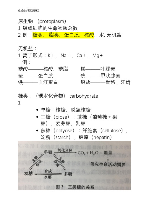 生命的物质基础