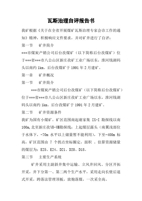 瓦斯治理自评报告书