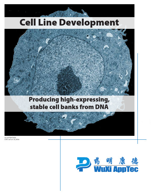 CellLineDevelopment：细胞系的发展