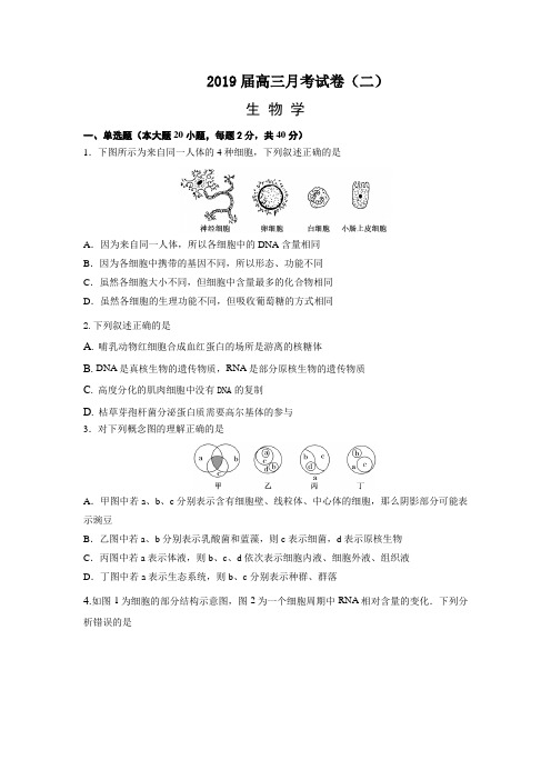 江苏省南通市海安高级中学2019届高三11月检测生物试题