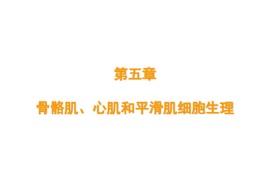 第5章 骨骼肌、心肌和平滑肌细胞生理