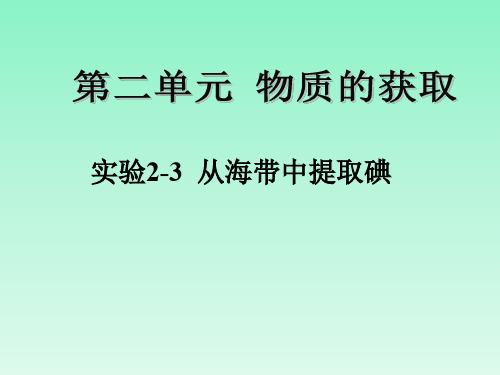 实验2-3从海带中提取碘