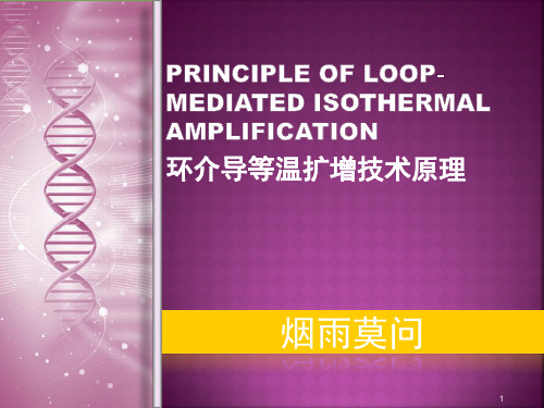 环介导等温扩增技术原理ppt课件