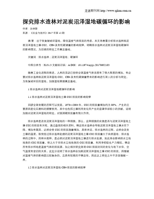 探究排水造林对泥炭沼泽湿地碳循环的影响